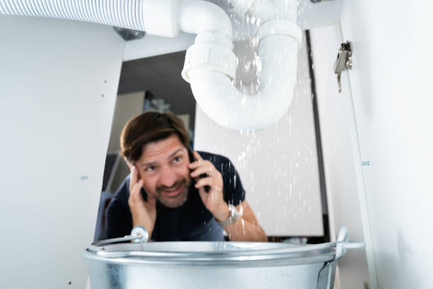 Best Plumbing Services Near Me  in Wallis, TX